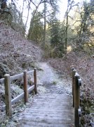 Silver Falls 12.10.05 042 